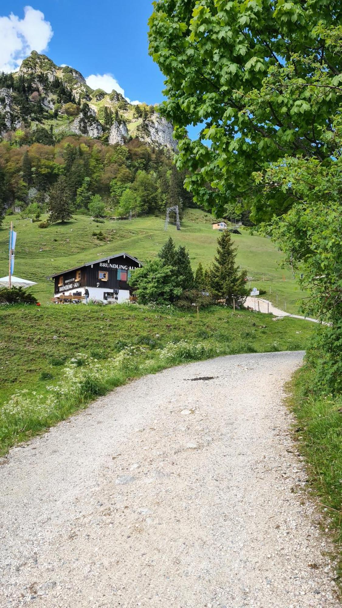 Bruendling-Alm Berggasthof Auf 1167M Auf Dem Hochfelln Hotel Bergen  Exterior foto